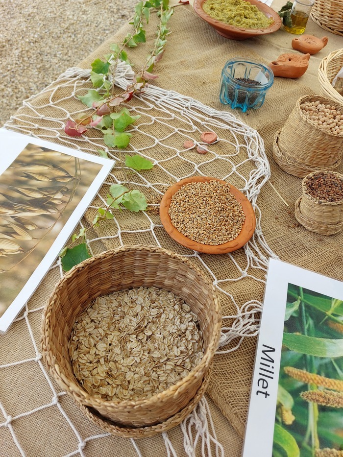 Lattara : venez découvrir la vie quotidienne gallo-romaine au comptoir antique !, Site archéologique Lattara – musée Henri Prades, Lattes