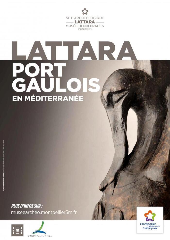 Lattara : visite libre de la collection permanente, Site archéologique Lattara – musée Henri Prades, Lattes