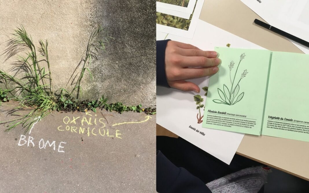 L’Automne de la Science à la Canopée : atelier de graffiti botanique Centre Paris Anim’ Ruth Bader Ginsburg PARIS
