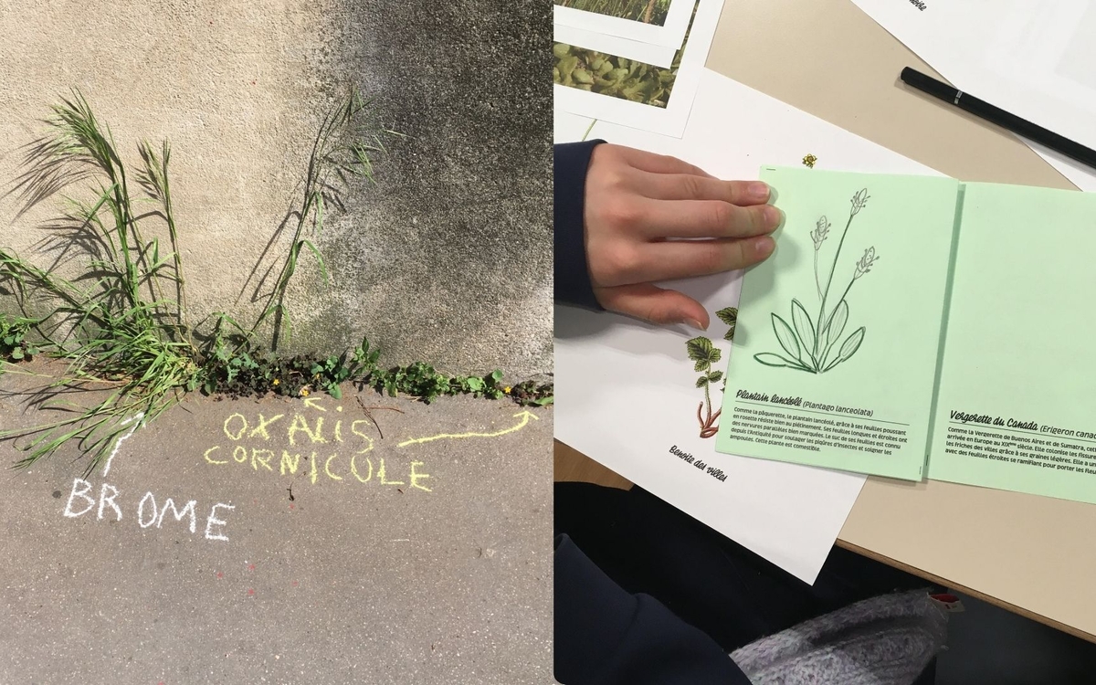 L'Automne de la Science à la Canopée : atelier de graffiti botanique Centre Paris Anim' Ruth Bader Ginsburg PARIS
