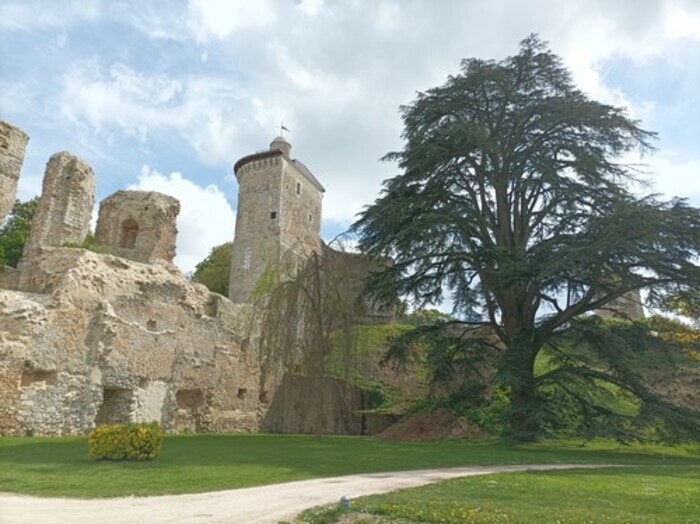 Le château au fil des pierres et de l'histoire Château et parc Vendôme