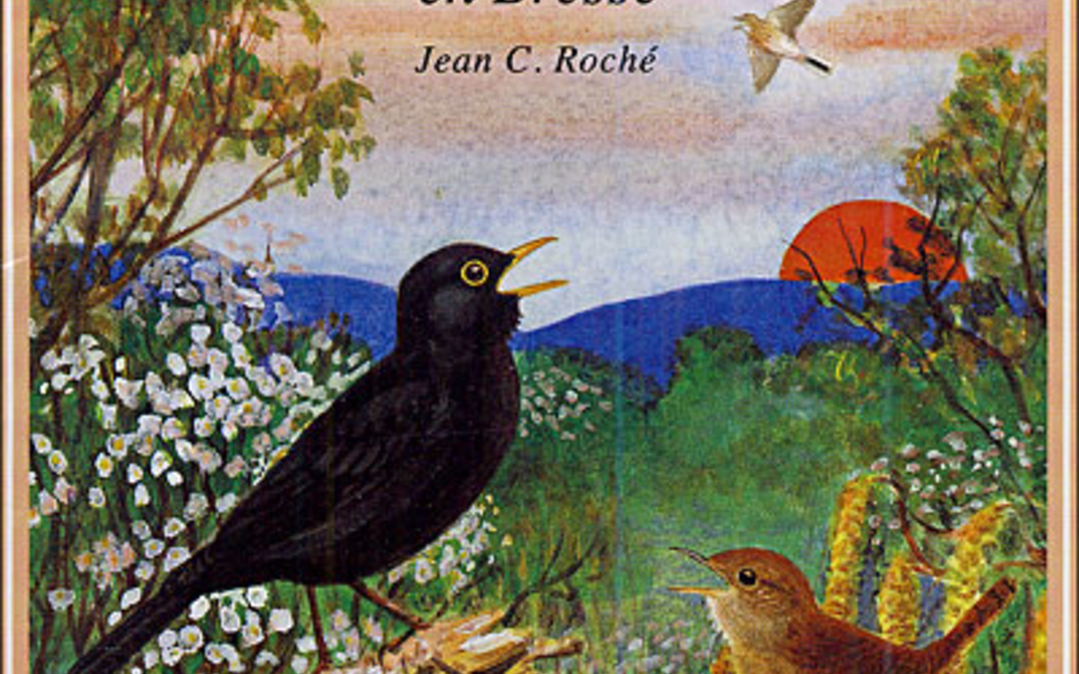 Le Grand bain : le réveil des oiseaux en Bresse Médiathèque Marguerite Yourcenar Paris