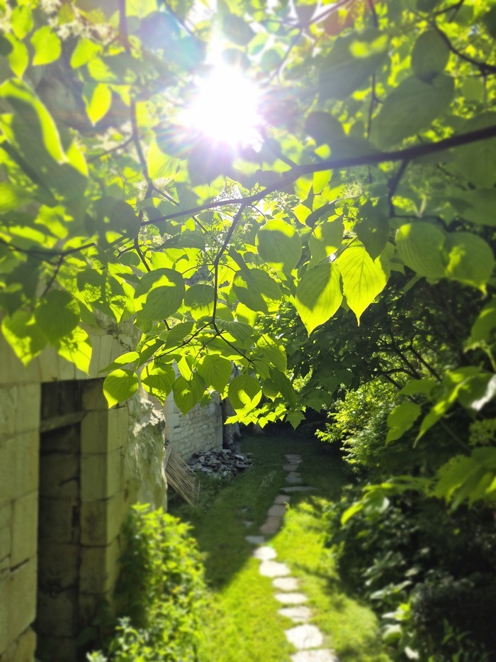 Le jardin de Franck à la Trésorerie Le jardin de Franck à la Trésorerie Tuffalun