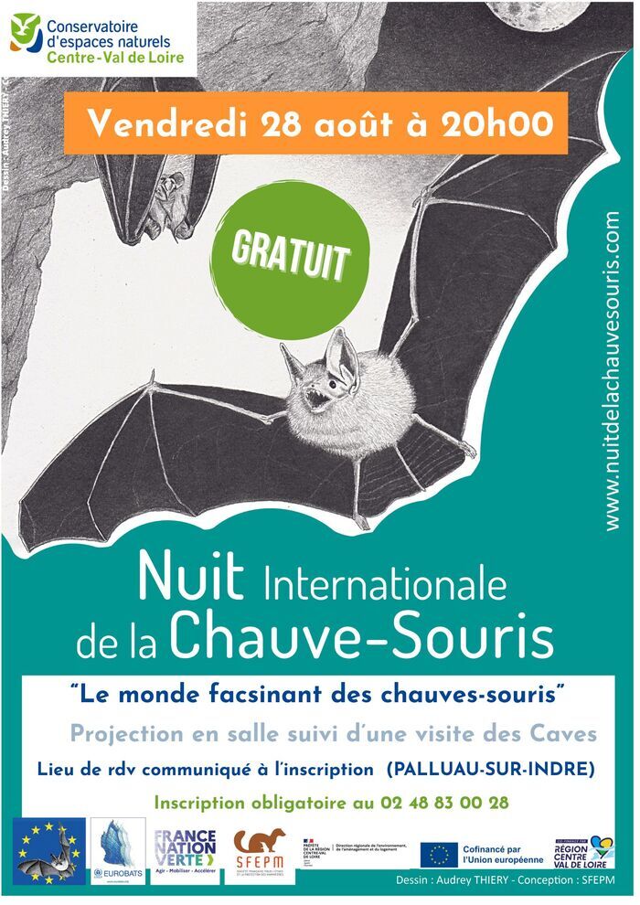 Le monde fascinant des chauves-souris, Caves de Palluau, Palluau-sur-Indre