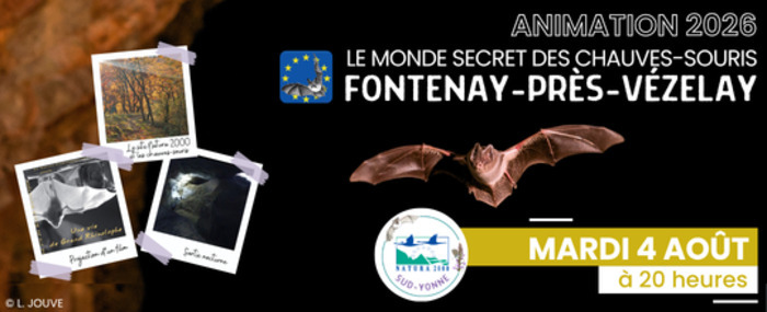 Le monde secret des chauves-souris du sud de l’Yonne, Place de la mairie, Sœuvres