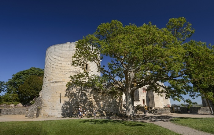Le petit monde du géant de pierre, Forteresse royale de Chinon, Chinon
