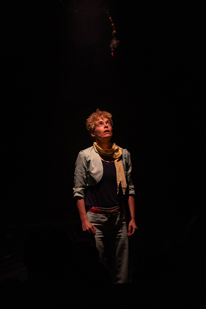 Le Petit Prince, Espace Culturel Capellia, La Chapelle-sur-Erdre