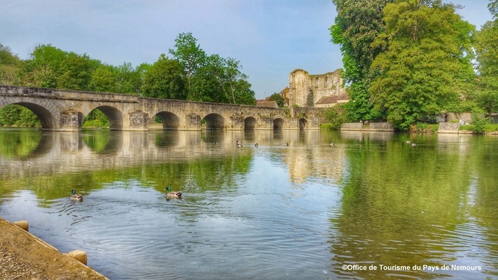 Le vieux pont de pierre « Témoin du temps qui passe », Cour du prieuré, Grez-sur-Loing