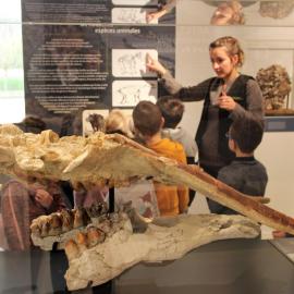 LECTURE ET VISITE SPÉCIALE ENFANT MUSEE DE L’AURIGNACIEN Aurignac
