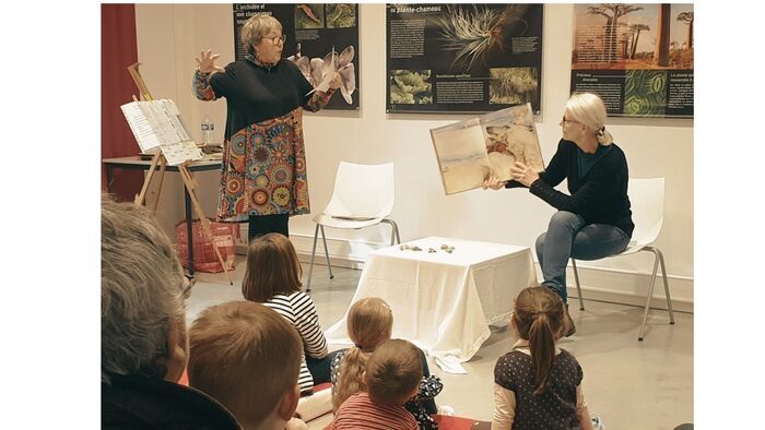 Lectures d&rsquo;histoires pour les 3-8 ans, Médiathèque de Tercé, Tercé