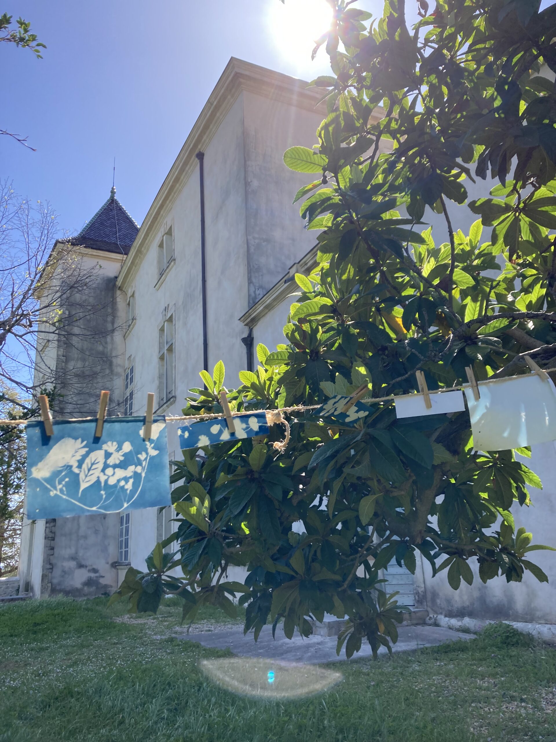 LES ATELIERS DE LA CABANE DÉCOUVERTE DU CYANOTYPE Domaine de Restinclières Prades-le-Lez 2026-09-16