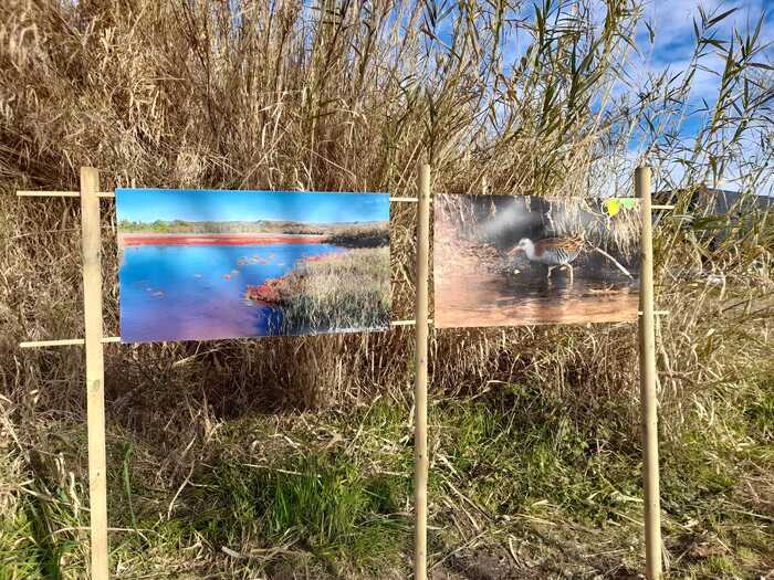 Les balades photographiques de l’étang de Berre, Base nautique écoresponsable, Rognac