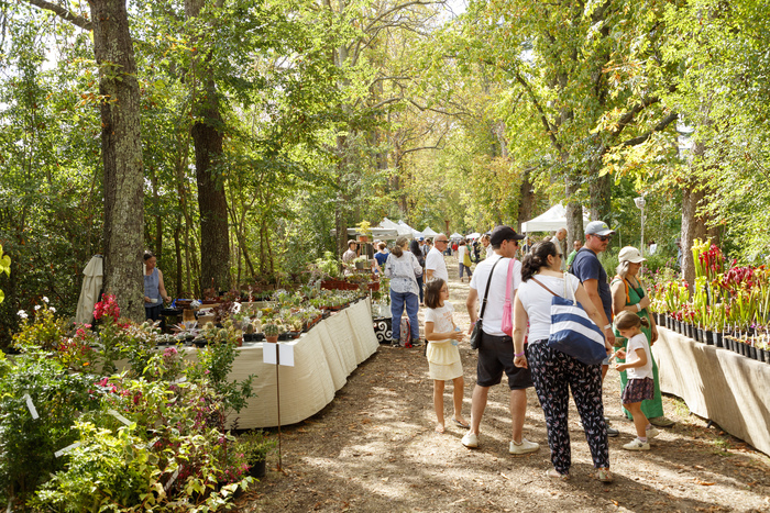 Les Botaniques de Chaumont-sur-Loire, Domaine régional de Chaumont-sur-Loire, Chaumont-sur-Loire
