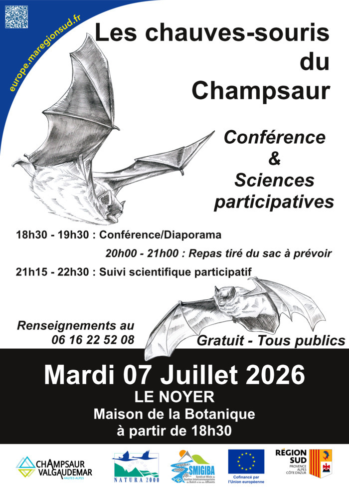 Les chauves-souris du Champsaur, Le Noyer, Le Noyer
