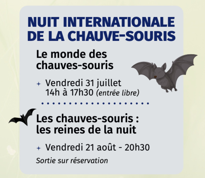 Les chauves-souris : les reines de la nuit, MONT-BERNANCHON, Mont-Bernanchon