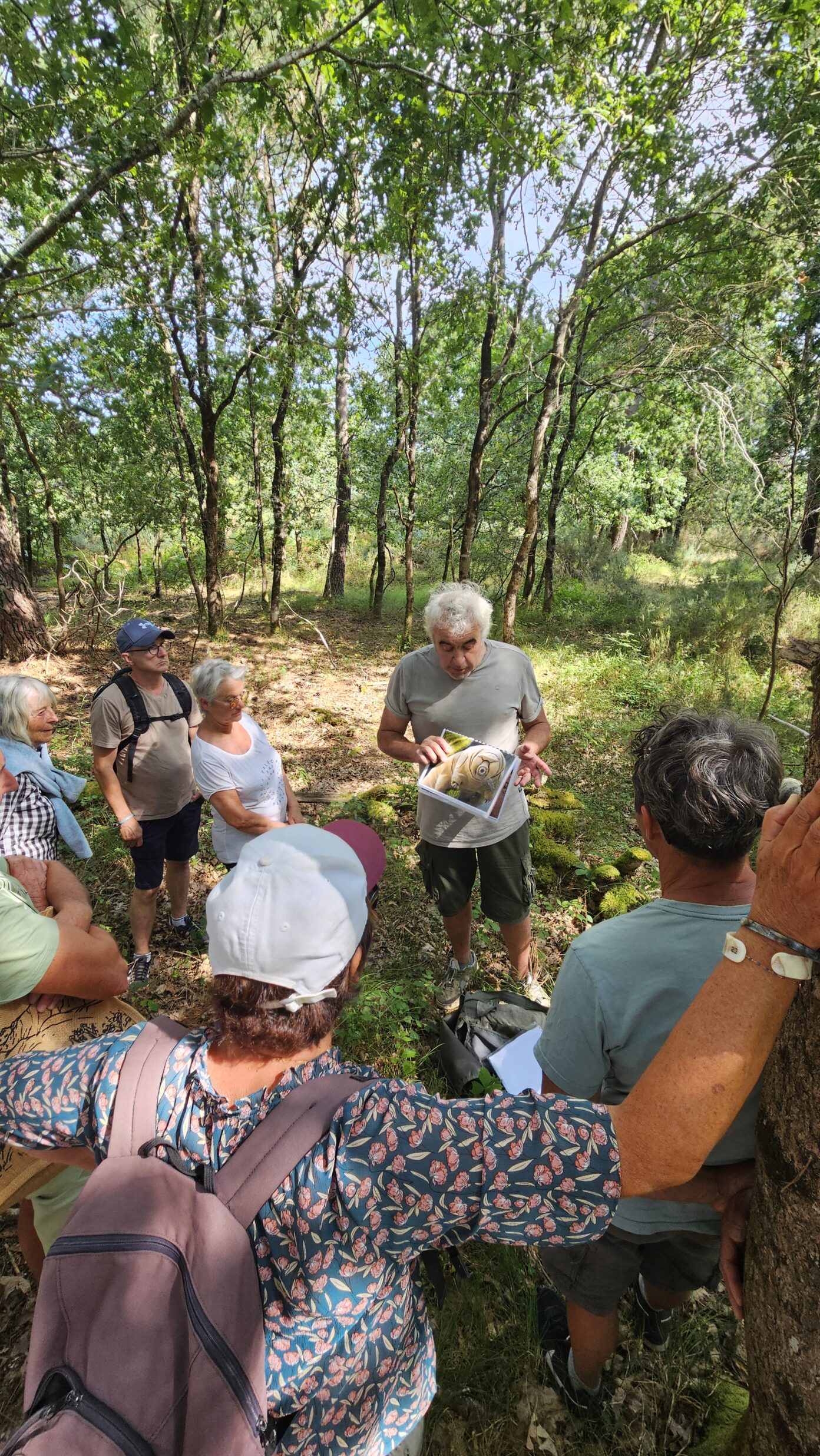 Les découvertes de Monta Les secrets de la forêt médocaine Vendays-Montalivet