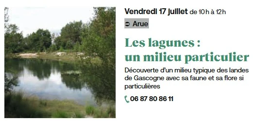 Les lagunes un milieu particulier Arue