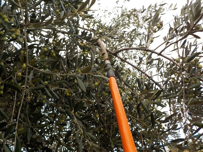 LES POUSSIÈRES À MULTITUDE, Parc départemental Georges-Valbon, La Courneuve