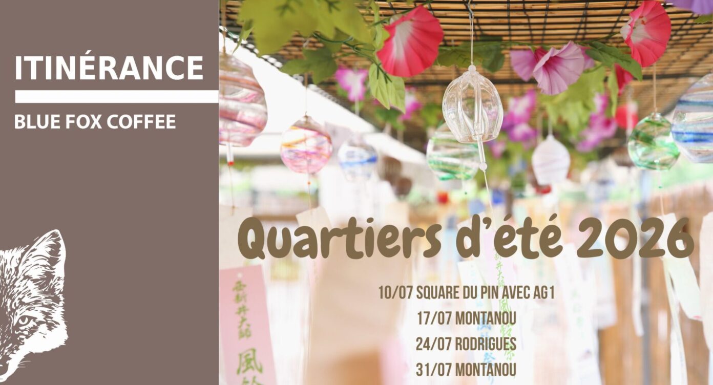 Les quartiers d’été du Blue Fox Coffee Agen