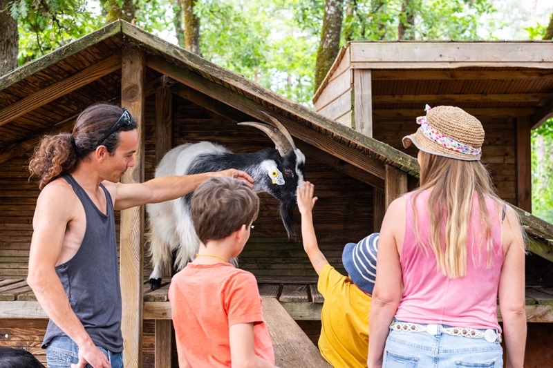 Les vacances d’été au Thot Thonac