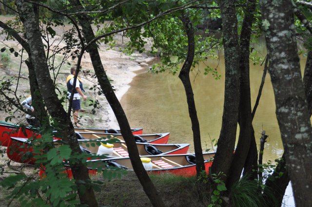 L’été de l’Office Balade en canoë encadrée (complet) Alokanoë Belin-Béliet