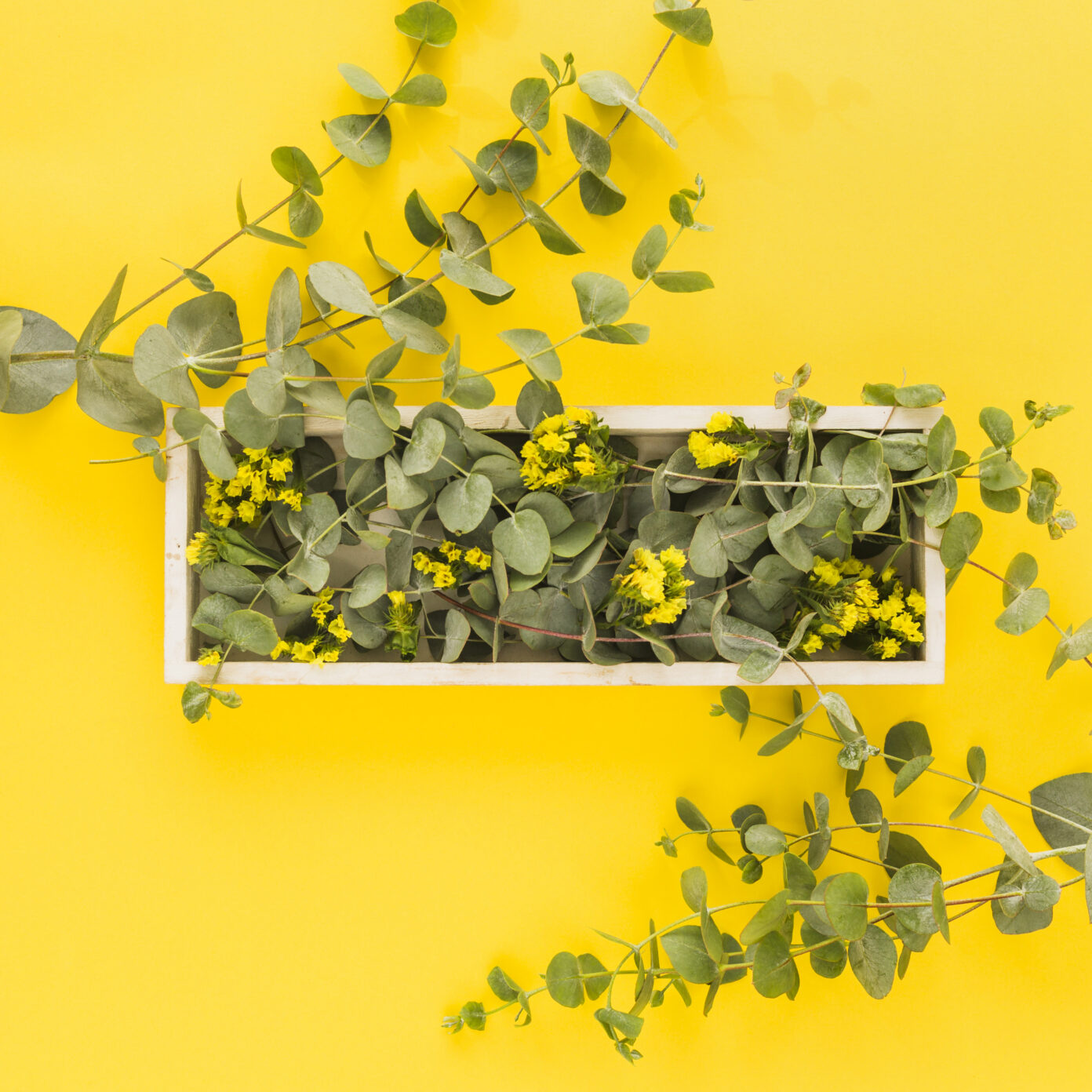 L&rsquo;été de l&rsquo;Office Composition de plantes avec création de support (complet)  Saint-Magne