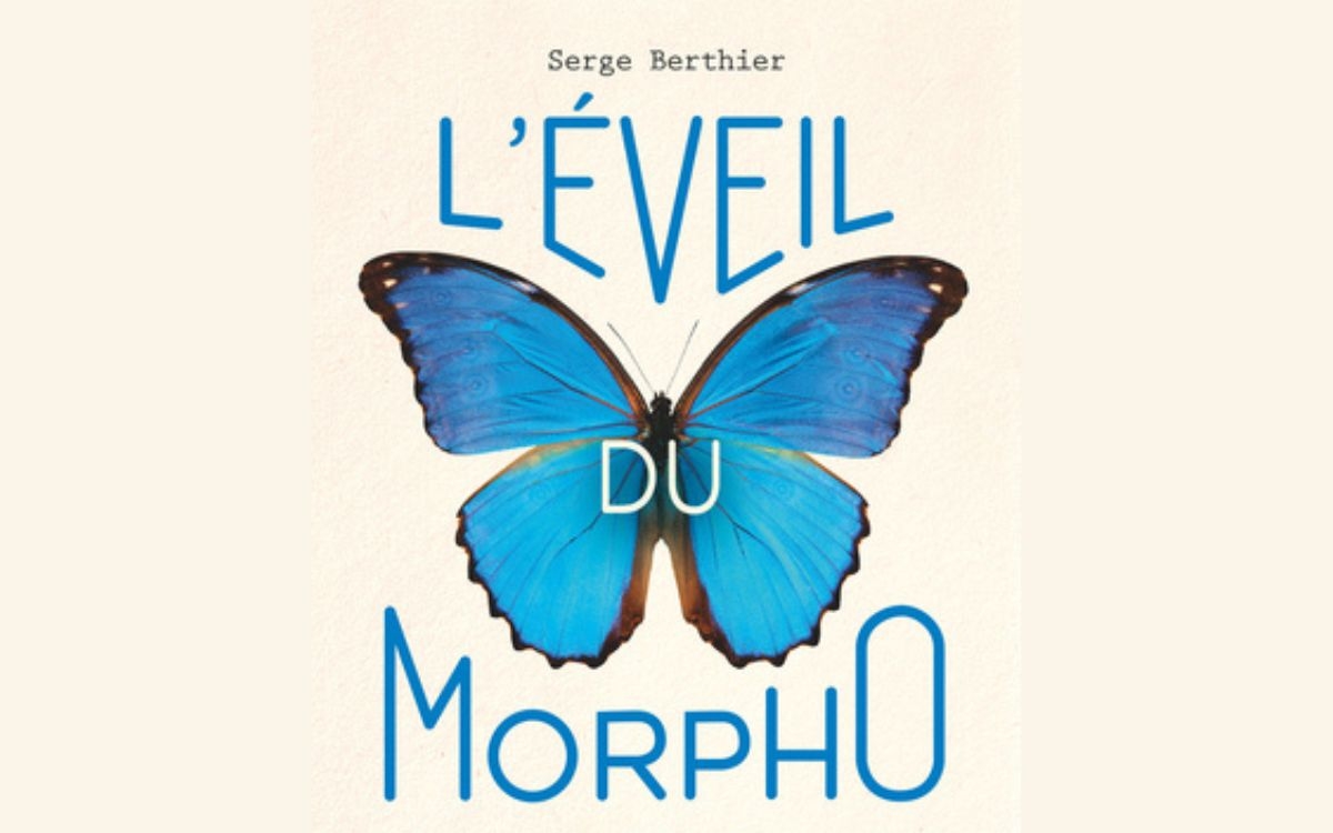 L'éveil du Morpho : bio-inspirez-vous ! Médiathèque Françoise Sagan  Paris
