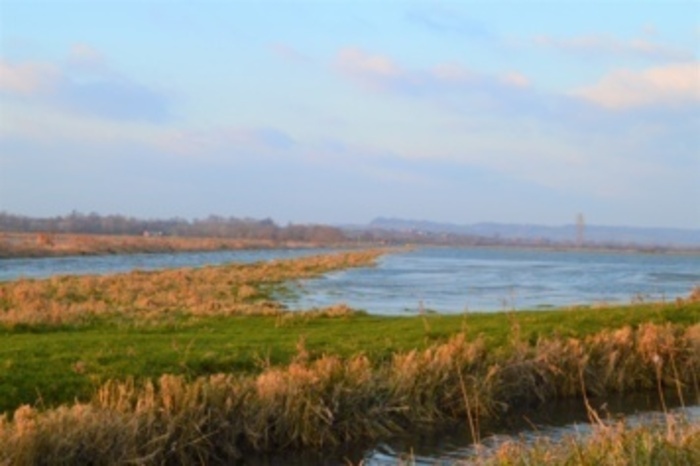 Levez les yeux ! Circuit « à la découverte des marais de la Dives », Les marais de la Dives, Bavent