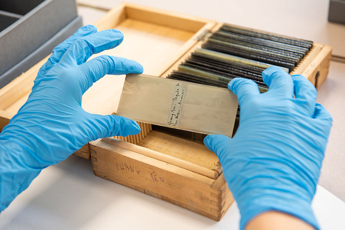 L’évolution des procédés photographiques à travers les collections des Archives nationales d’outre-mer, archives nationales d’outre-mer, Aix-en-Provence