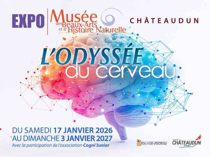 L’odyssée du cerveau, Musée des beaux-arts et d’histoire naturelle, Châteaudun