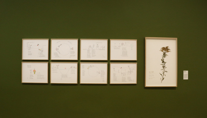 L’œuvre du jour : Plants and People, Musée d’arts de Nantes, Nantes