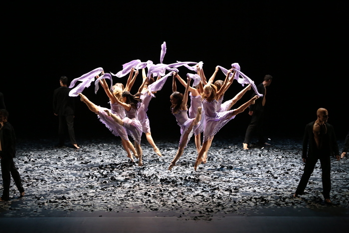 Malandain Ballet Biarritz – L’Amour sorcier / Don Quichotte, Le Pin Galant, Mérignac
