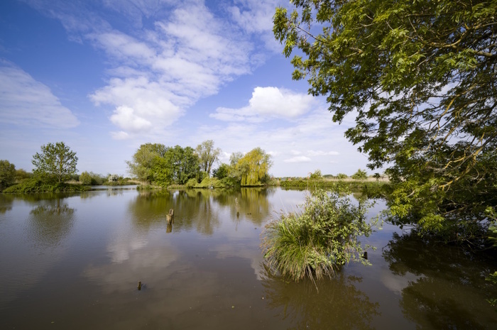 Marais & Réserve : visite du marais maraîcher et de la réserve naturelle des étangs du Romelaere., Ô Marais by ISNOR, Clairmarais