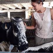Marché de producteur à la ferme de Rosalie Astaillac