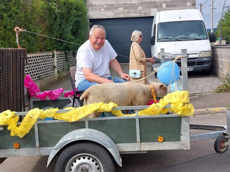 Marche du mouton rue des Mineurs Hettange-Grande