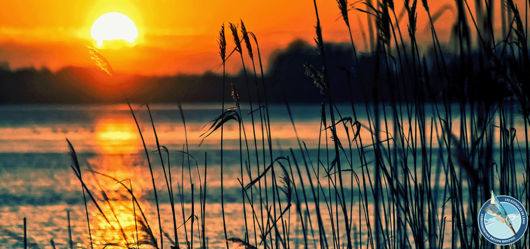 Mardi soir au bord de l’eau Sennely