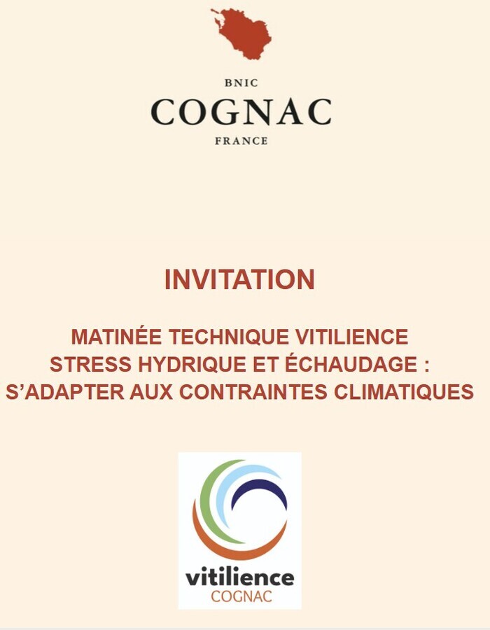 MATINÉE TECHNIQUE VITILIENCE
STRESS HYDRIQUE ET ÉCHAUDAGE : S’ADAPTER AUX CONTRAINTES CLIMATIQUES, Chez Jean-Marc Taureau à Saint-Lheurine (17), Saint-Lheurine