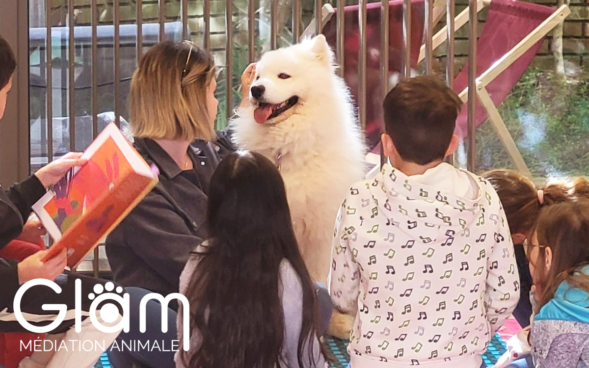 Médiation animale : lire avec un chien Médiathèque Hélène Berr  Paris