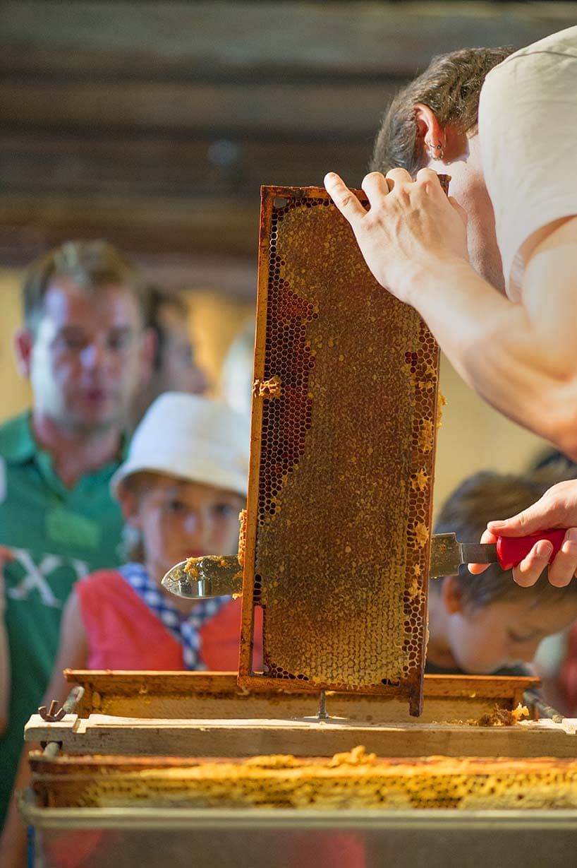 Miel et abeilles Ecomusée de la Bintinais RENNES