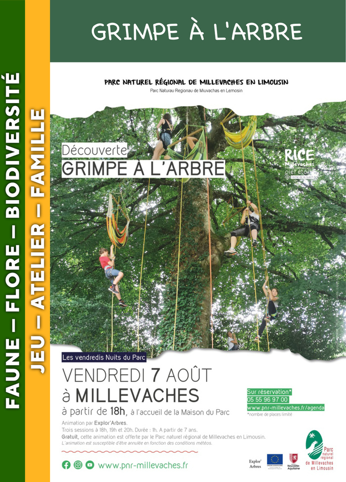 MILLEVACHES – Grimpe d’arbre, Maison du Parc MILLEVACHES, Millevaches