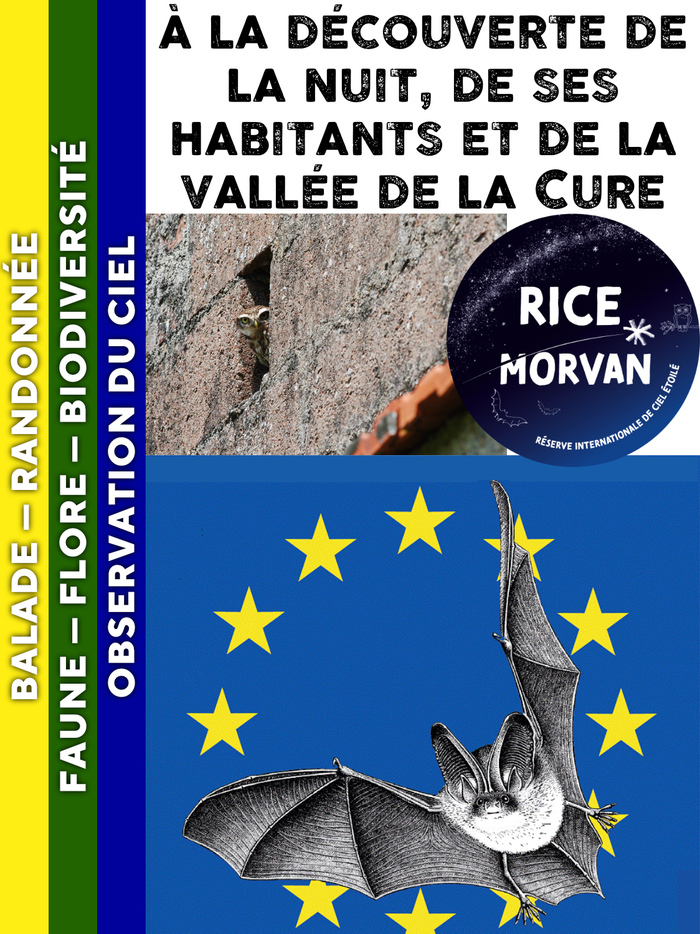 MORVAN – A la découverte de la nuit, de ses habitants et de la vallée de la Cure, 89450 PIERRE-PERTHUIS, Pierre-Perthuis