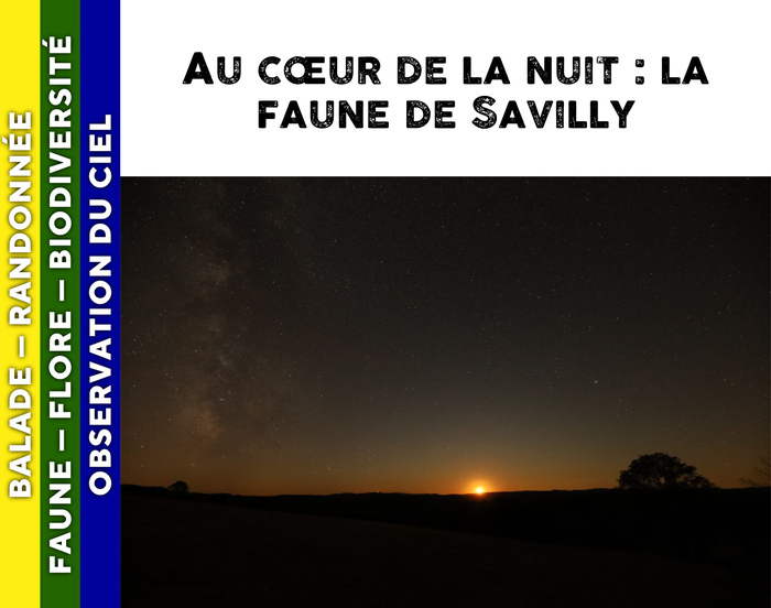MORVAN – Au coeur de la nuit : la faune de Savilly, Savilly, Savilly
