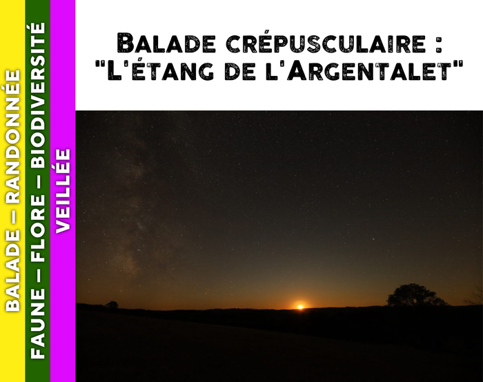MORVAN – Balade crépusculaire : l’étang de l’Argentalet, Étang de l’Argentalet, 21210 SAULIEU, Saulieu