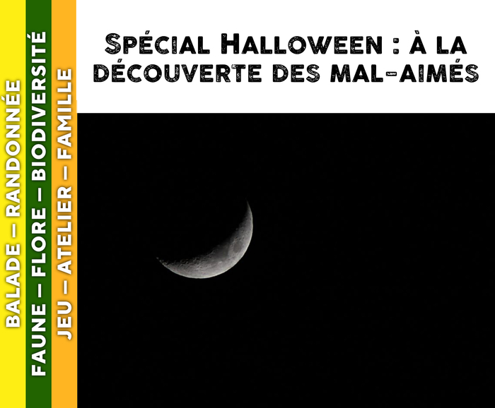 MORVAN – Spécial Halloween : à la découverte des mal-aimés, 58230 Saint-Brisson, Saint-Brisson