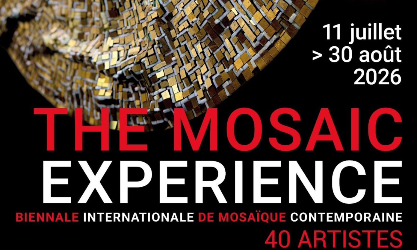 mosaic experience larmor plage