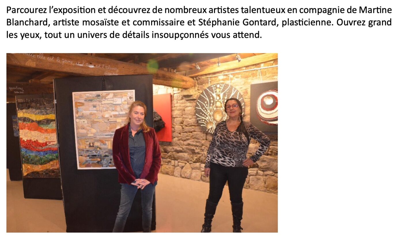 mosaic experience larmor plage