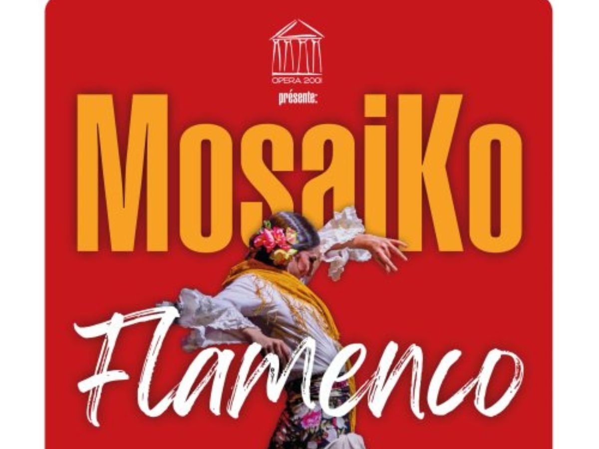 MOSAIKO FLAMENCO 6 Rue Courtejaire Carcassonne 2027-04-24