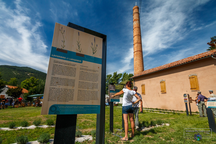 musée intercommunal de la Distillerie, Musée intercommunal de la Distillerie, Barrême