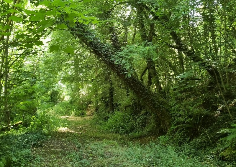 Nature, saveurs et détente au Domaine du Sablou Domaine du Sablou Fanlac