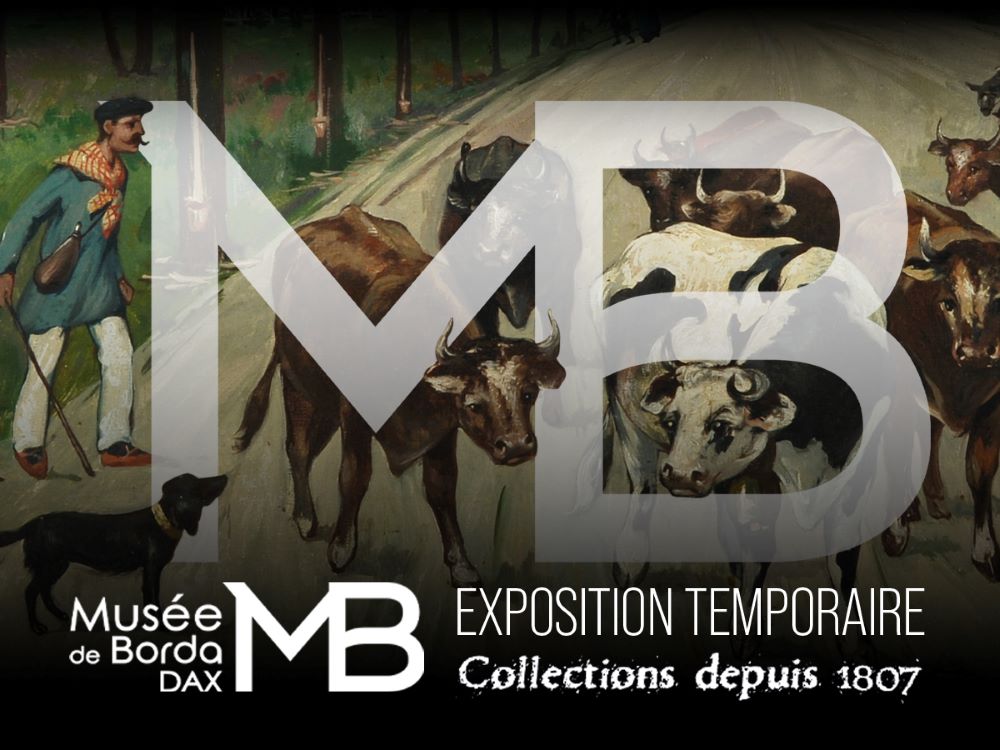 Nocturne au Musée de Borda Musée de Borda Dax